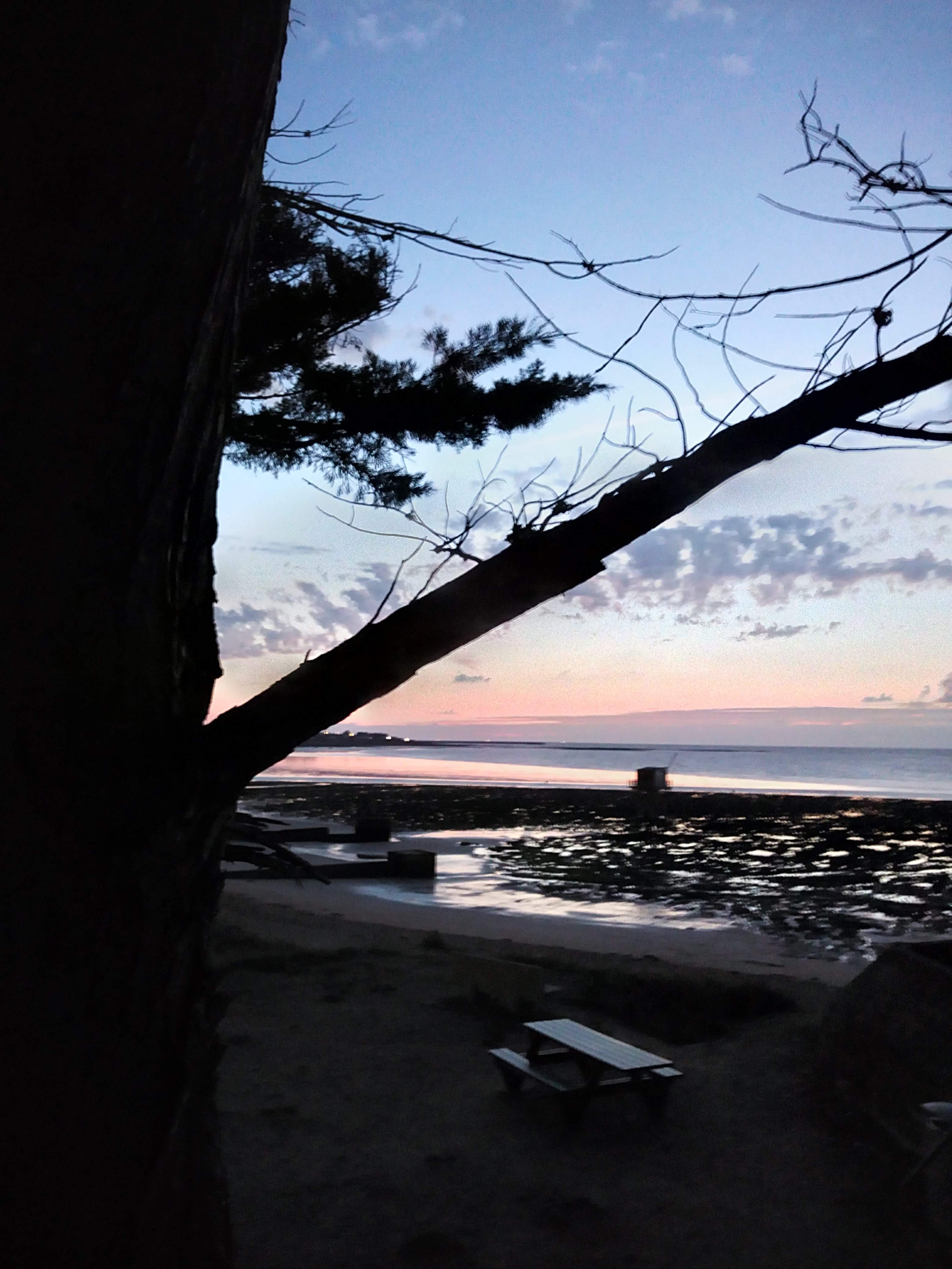 Photo n° 27 de l'avis de Mick53.i fait le 21/08/2019 à 20:02