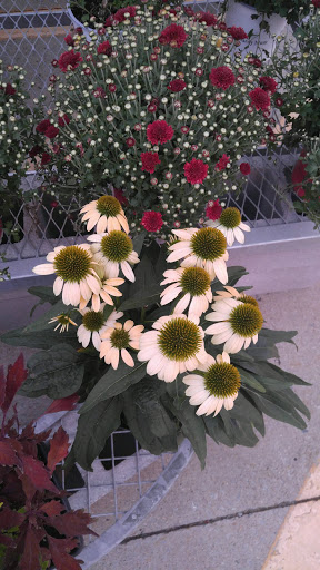 Home Improvement Store «The Home Depot», reviews and photos, 2630 Wilma Rudolph Blvd, Clarksville, TN 37040, USA