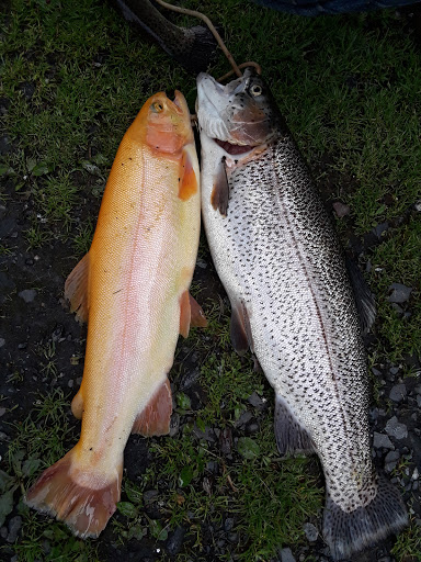 Fishing Store «Indian Creek Fishing & Fire Arms», reviews and photos, 3479 Mango Dr, Danielsville, PA 18038, USA