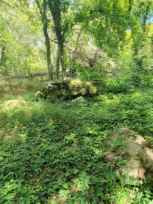 Dolmens de Trainel à Saint-Maurice-aux-Riches-Hommes