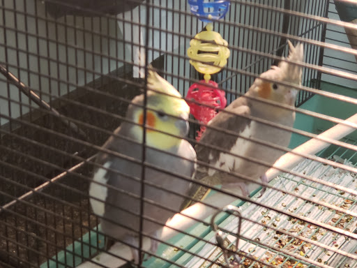 Pet Supply Store «D&L AgMart - McKinney», reviews and photos, 210 W University Dr d, McKinney, TX 75069, USA