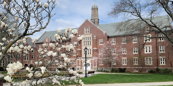 University of Connecticut