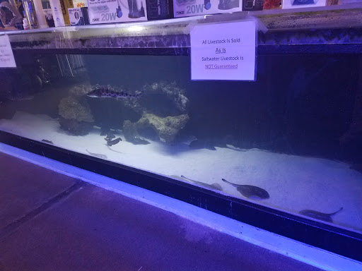 Aquarium «Reef Coral», reviews and photos, 12442 Jefferson Hwy, Baton Rouge, LA 70816, USA