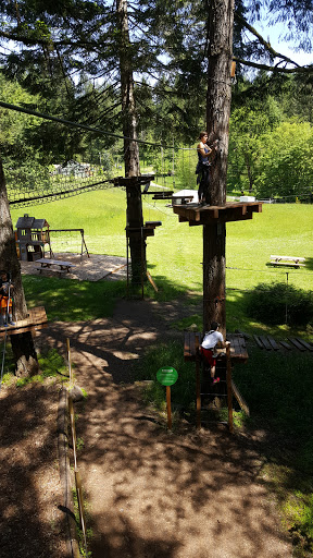 Tourist Attraction «Tree to Tree Adventure Park», reviews and photos, 2975 SW Nelson Rd, Gaston, OR 97119, USA