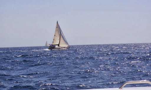 Sailing Office