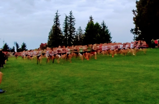 Golf Course «Cedarcrest Golf Course», reviews and photos, 6810 84th St NE, Marysville, WA 98270, USA