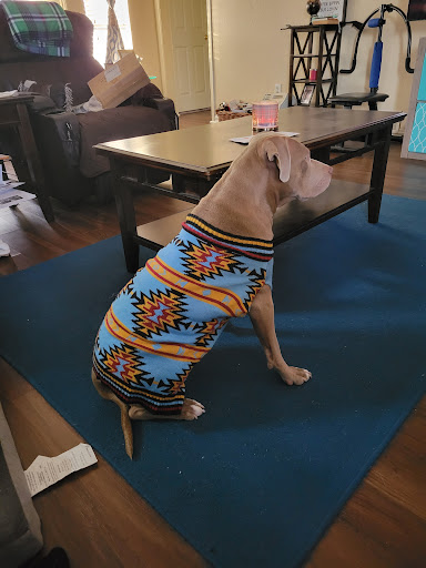 Pet Supply Store «Petco Animal Supplies», reviews and photos, 1500 N Town E Blvd, Mesquite, TX 75150, USA