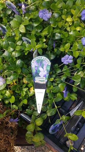 General Contractor «Laurel Bay Gardens Inc», reviews and photos, 88493 US-101, Florence, OR 97439, USA