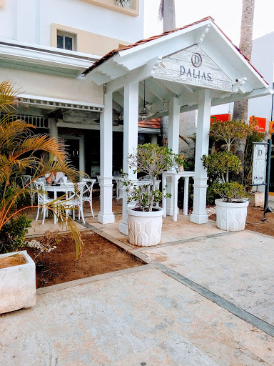Dalia's Cafe & Bakery
