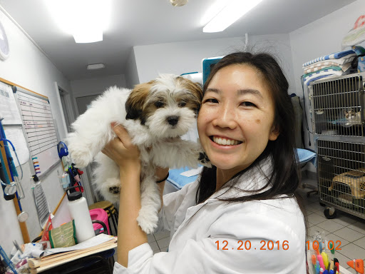 Island Veterinary Care image