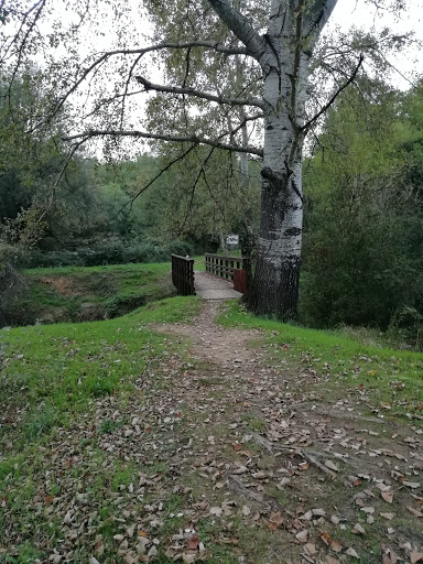 Pensioni per cani e dog hotel a Clinica Equina Andromeda