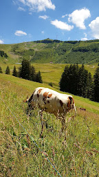 Photo n°92 de Alpage de l'Airon à Arâches-la-Frasse ()