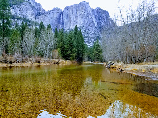 National Park «Yosemite National Park», reviews and photos