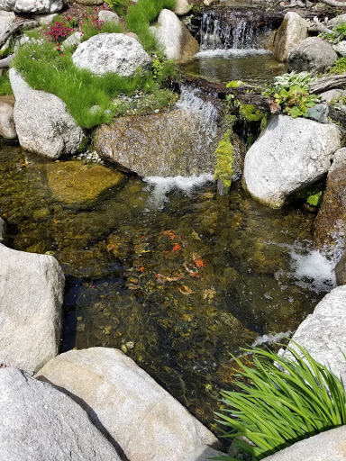 Pet Store «Lebanon Pet & Aquarium Center», reviews and photos, 196 S Main St, West Lebanon, NH 03784, USA