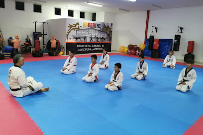 Haran Taekwondo Colima