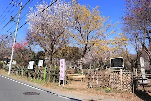 Kobotoke Checkpoint Ruins image