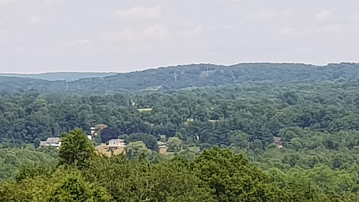 Tourist Attraction «Sunflower Maze», reviews and photos, South St, Middlefield, CT 06455, USA