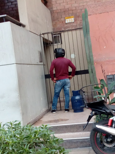 Viento Salvaje Media Films