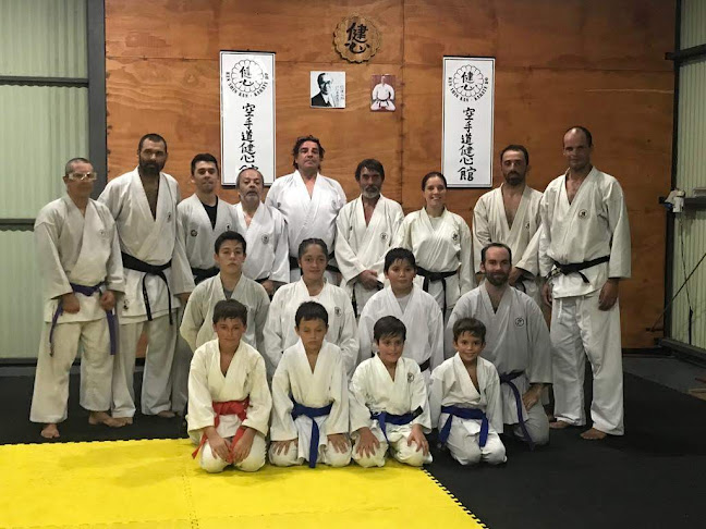 Opiniones de Dojo Kenshinkan Atlántida en Canelones - Escuela