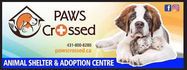Paws Crossed Animal Shelter & Adoption Centre