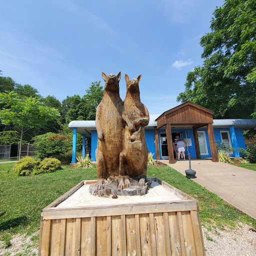 Zoo «Kentucky Down Under Adventure Zoo», reviews and photos, 3700 L and