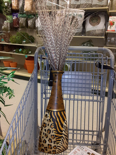 Craft Store «Hobby Lobby», reviews and photos, 1317 Bridford Pkwy, Greensboro, NC 27407, USA