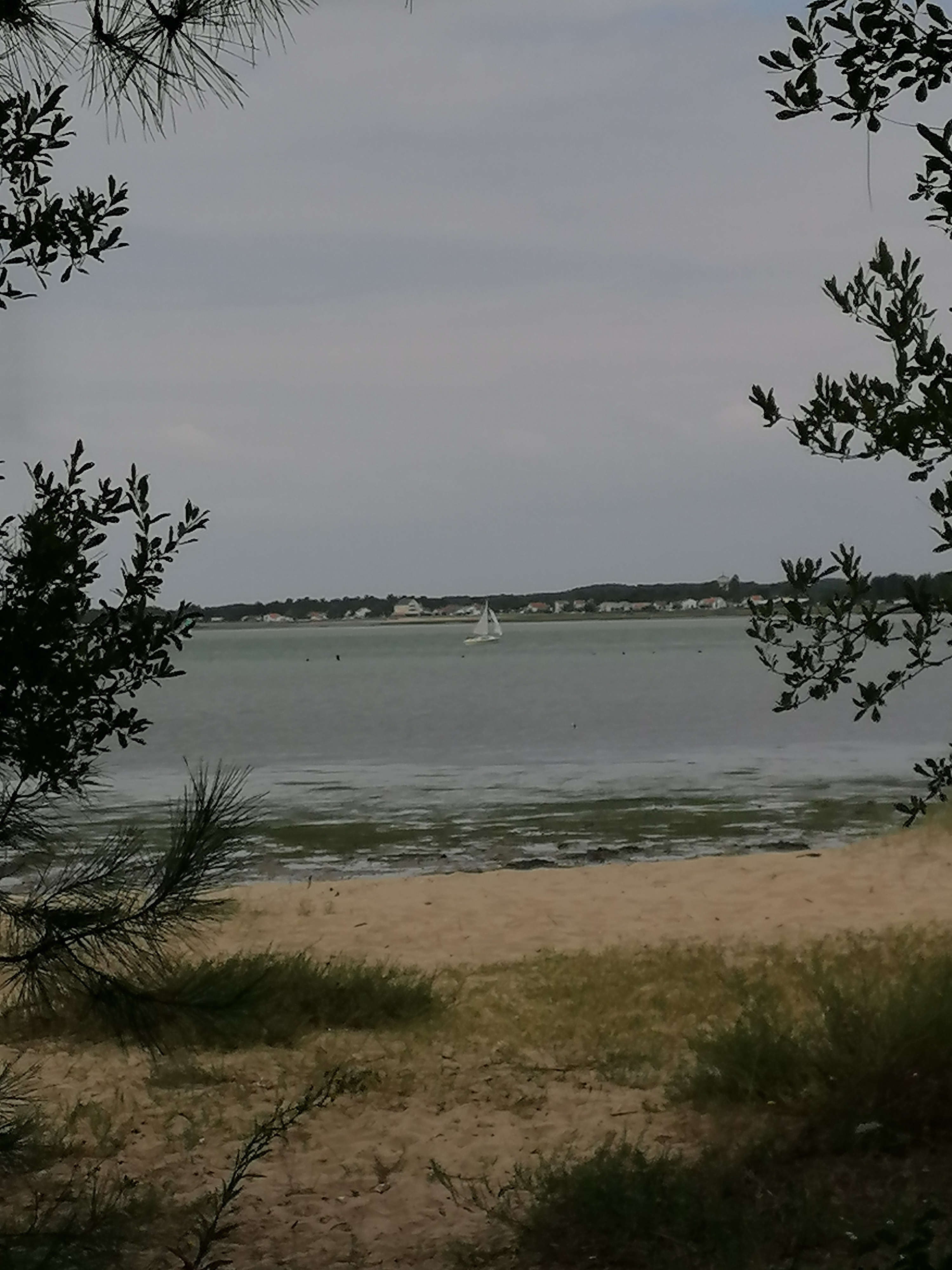 Photo n° 3 de l'avis de marjo.E fait le 17/08/2021 à 15:02
