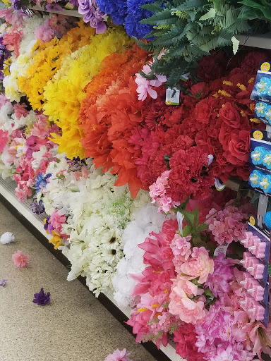 Dollar Store «Dollar Tree», reviews and photos, 5370 Allentown Pike, Temple, PA 19560, USA