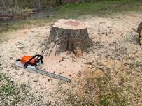 Rosita's Landscaping inc - Photo 3 - Car repair in , New York