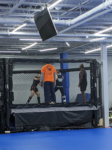 Martial Arts School «Elite Mixed Martial Arts - Houston», reviews and photos, 10640 Westheimer Rd, Houston, TX 77042, USA