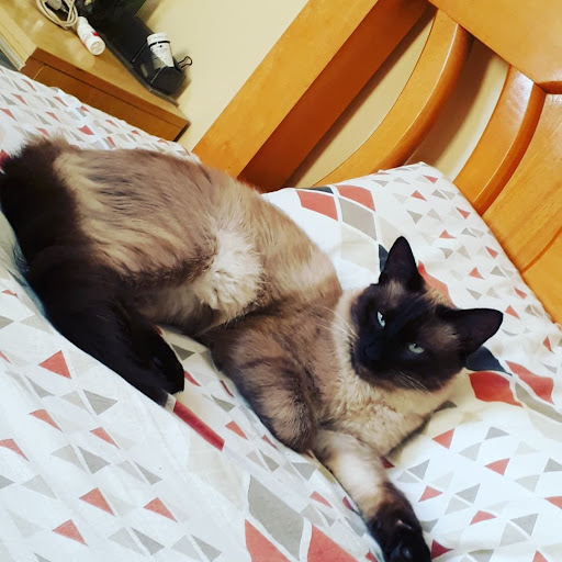 TankusVet Centro Veterinário em Registro - SP