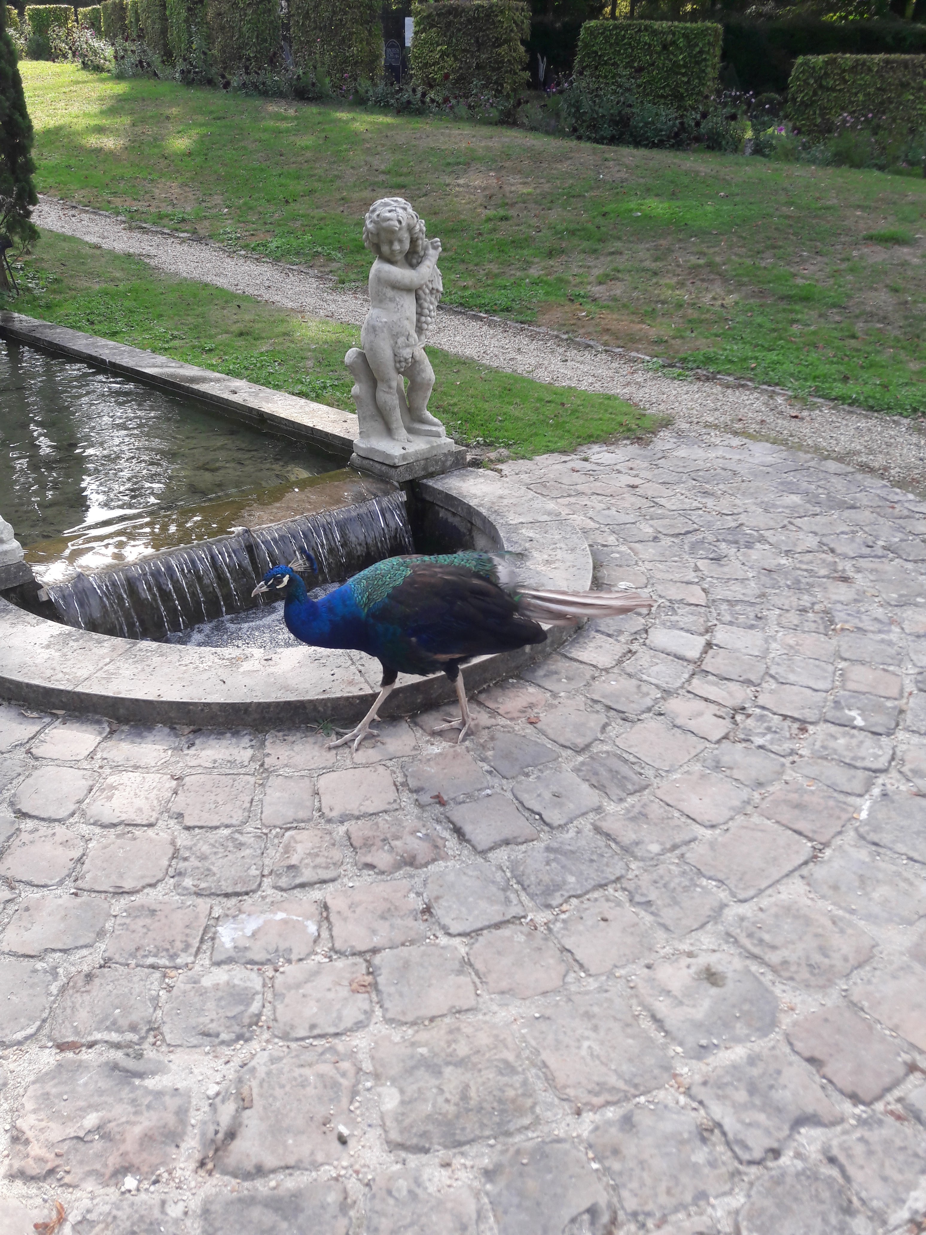 Photo n° 2 de l'avis de Déborah.e fait le 09/09/2018 à 18:15