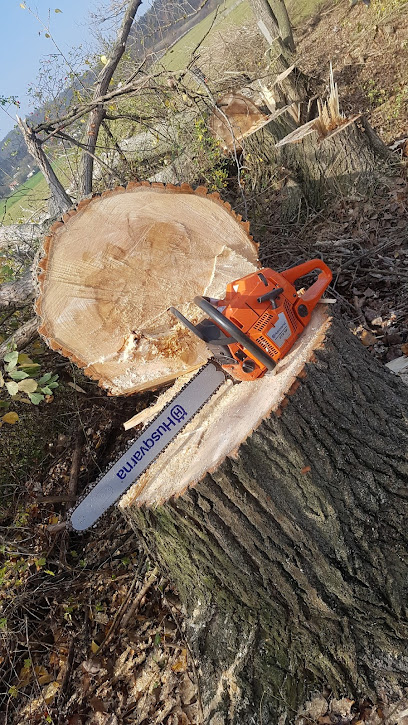 Kácení stromů, rizikové kácení