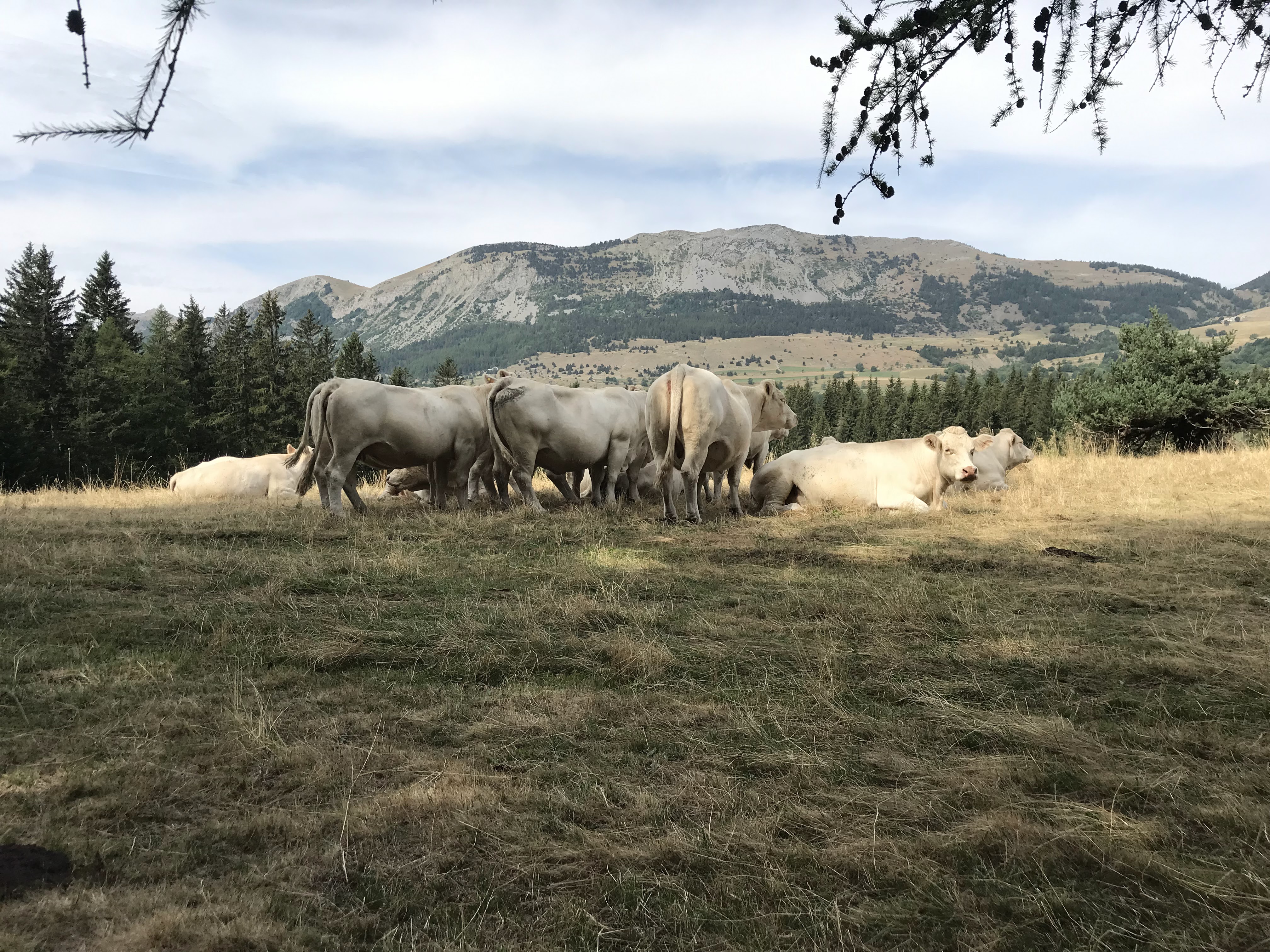 Photo n° 1 de l'avis de Bastien.a fait le 17/08/2022 à 09:43
