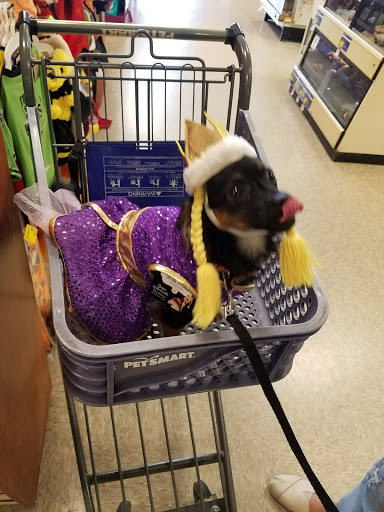 Pet Supply Store «PetSmart», reviews and photos, 7177 SE 29th St, Midwest City, OK 73110, USA