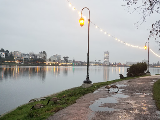 Convenience Store «Quik Stop», reviews and photos, 401 Merritt Ave, Oakland, CA 94610, USA