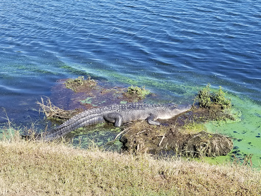Golf Club «Crescent Oaks Golf Club», reviews and photos, 3300 Crescent Oaks Blvd, Tarpon Springs, FL 34688, USA