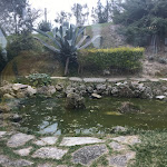 Photo n°11 de l'avis de Fabrizio.o fait le 29/03/2022 à 07:16 sur le  Restaurant La Limonaia à Civitanova Marche