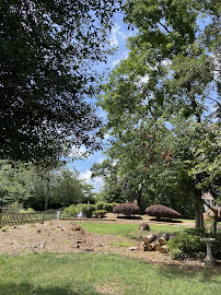 C&D Lawncare & Tree Service LLC - Photo 4 - Car repair in , Greenville