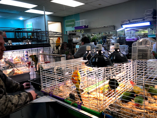 Pet Store «Parrots Of The World Aquarium and Pet Center», reviews and photos, 316 Sunrise Hwy #1, Rockville Centre, NY 11570, USA