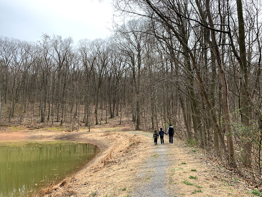 Nature Preserve «Boyd Big Tree Preserve Conservation Area», reviews and photos, Fishing Creek Valley Rd, Harrisburg, PA 17112, USA