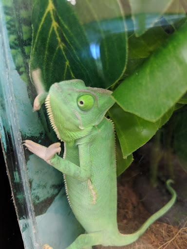 Pet Supply Store «Petco Animal Supplies», reviews and photos, 5177 Eldorado Pkwy, Frisco, TX 75033, USA