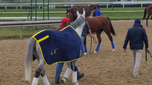 Museum «Kentucky Derby Museum», reviews and photos, 704 Central Ave, Louisville, KY 40208, USA