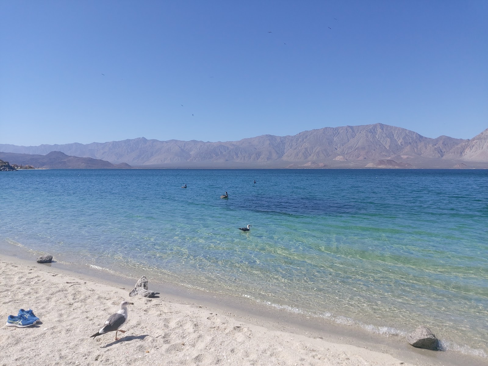 Photo de La Mona Beach avec un niveau de propreté de très propre