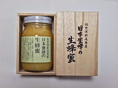 佐世保針尾島産 日本蜜蜂の生蜂蜜