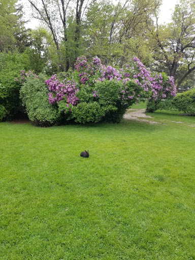 Amphitheater «American Fork Amphitheater», reviews and photos