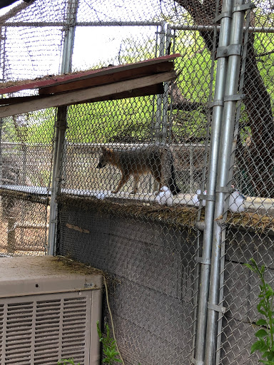 Wildlife Rescue Service «Southwest Wildlife Conservation Center», reviews and photos, 27026 N 156th St, Scottsdale, AZ 85262, USA