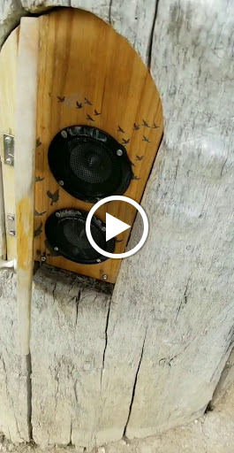 Park «Huston Lake Park», reviews and photos, 850 S Bryant St, Denver, CO 80219, USA