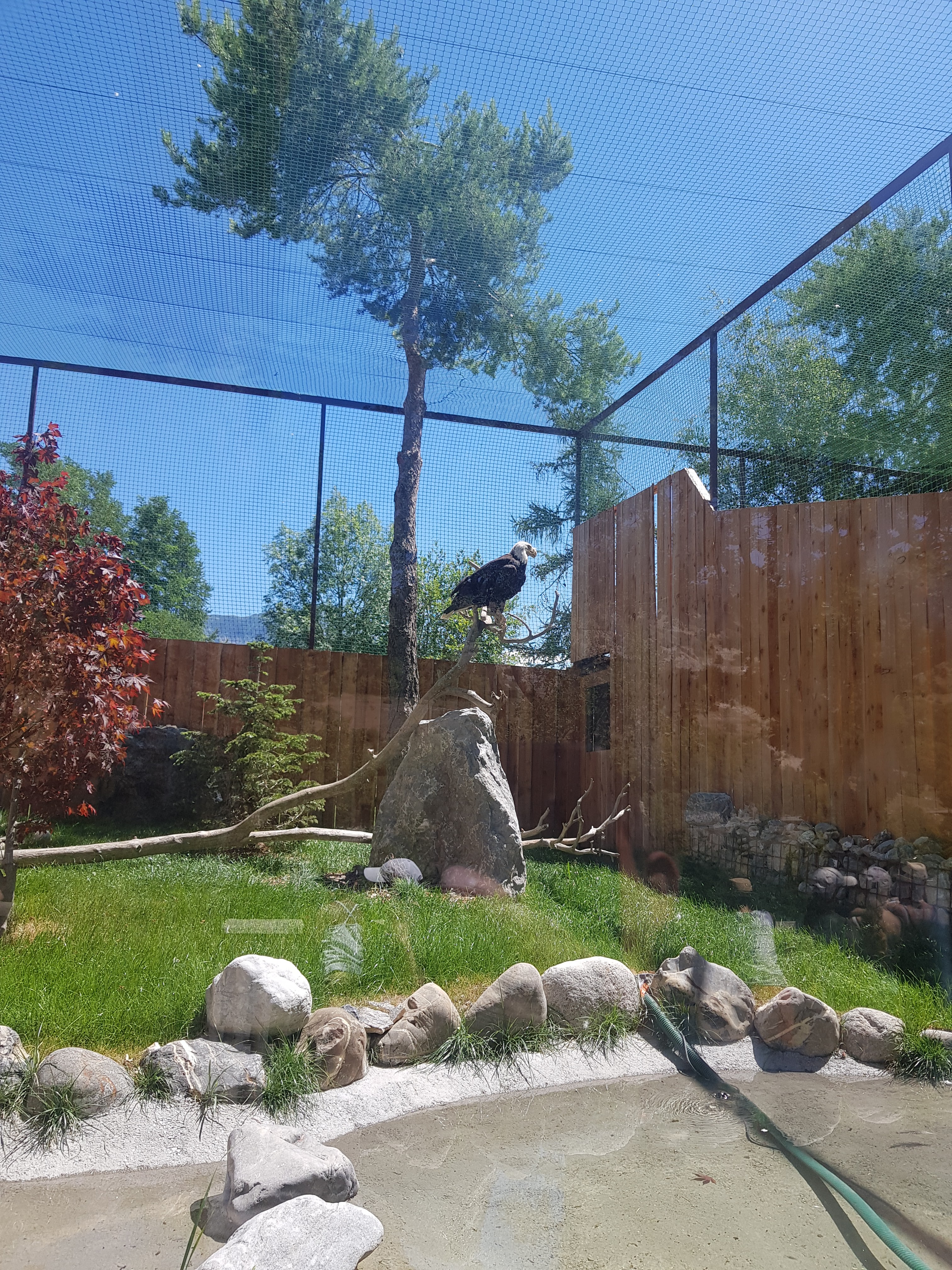 Photo n° 6 de l'avis de ROMAIN.A fait le 14/07/2022 à 16:35