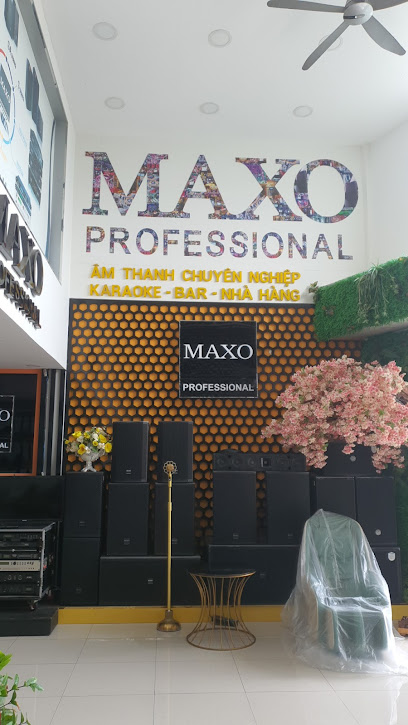 CÔNG TY TNHH MAXO AUDIO VIỆT NAM